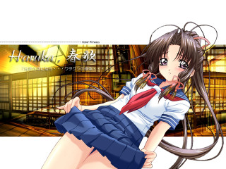 Honkoko eizan kikukawa maya raphael - a short skirt free wallpaper for desktop