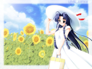 Woman white dress sunflower field - a field of sunflowers free wallpaper