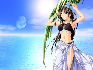 Woman beach palm sky ocean 2 - palm tree free wallpaper