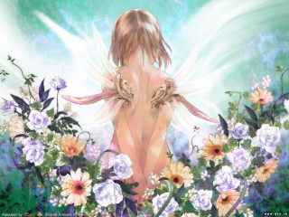 Woman flower butterflies bird tattoo - flower and butterflies free wallpaper