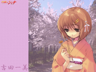 Kimono woman cherry blossoms outdoors - a woman in a kimono free wallpaper