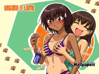 Furry bikini beer groping yuri - suit free wallpaper