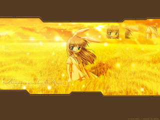 Girl bunny forest yellow sunset - a yellow sky free wallpaper