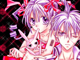 Pink hair bunny knife comb - their head free wallpaper