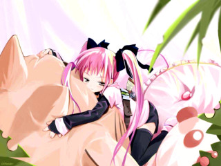 Pink hair flower bed anime - the wind free wallpaper for desktop
