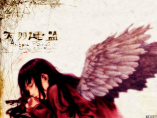 Angel wings red shirt tree - her chest free wallpaper
