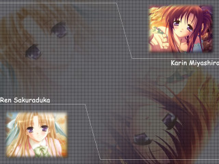 Anime characters group multicolored expressions - different expression free wallpaper