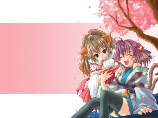 Two anime girls bench cat - sots art free wallpaper