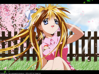 Girl umbrella cherry blossoms spring - the grass free wallpaper