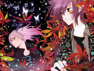 Anime leaves butterflies night sky - the night sky free wallpaper