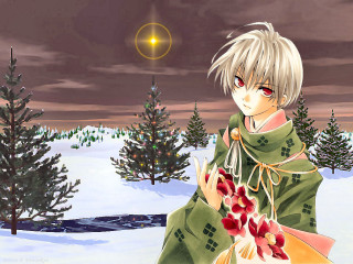 Green coat bouquet snow star - sōsaku hanga free wallpaper