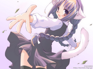 Dancing girl cat tail ponybraid - a ponytail free wallpaper