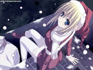 Woman red coat snow laptop - ground free wallpaper