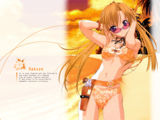 Woman bikini gun beach sunset - sōsaku hanga free wallpaper