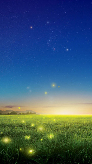 Field grass fireflies night sky - a detailed matte painting free wallpaper