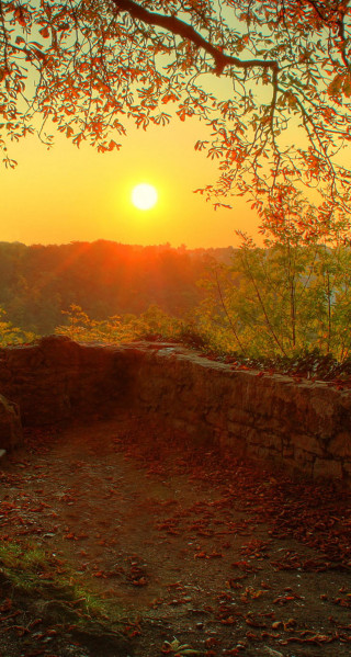 Bench dirt field tree sunset - sunset free wallpaper
