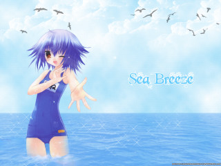 Girl blue swimsuit water birds - a blue swimsuit free wallpaper