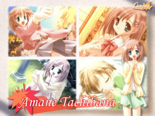 Anime girls siblings schooluniform sunset - a girl free wallpaper