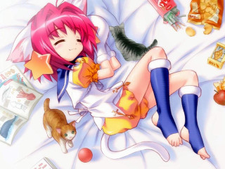 Girl cat sleeping bed anime - bed free wallpaper