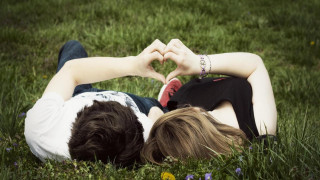 Couple heart grass flower background - a heart shape free wallpaper