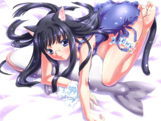 Alice cat tails anime furry - a cat tail free wallpaper