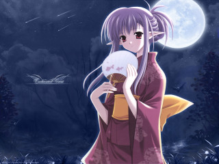 Kimono fan fullmoon night sky - overhead free wallpaper