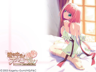 Girl sitting bed window pink - a window behind her free wallpaper