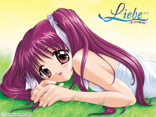 Purple hair girl laying on - the grass free wallpaper