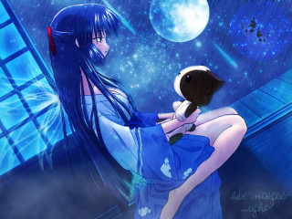 Moonlight kimono cat night sky - a blue dress holding free wallpaper