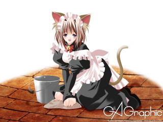 Cat girl coffee mug aya - a cup of coffee free wallpaper for desktop