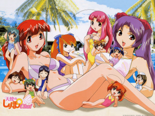 Beach girls palm trees sunny - top of a beach next free wallpaper
