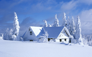 House snowy field trees background - cloud free wallpaper