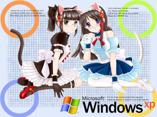 Anime girls cat fence tennis - two anime girls sitting next free wallpaper