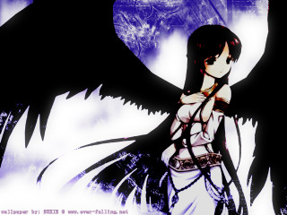 Gothic anime woman blackwings purplenight - a black bird free wallpaper