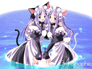 Anime girls cat costumes water - their shoulder free wallpaper