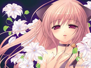 Pink hair girl flower bouquet 2 - white flower free wallpaper