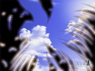 Bird flying clouds blue sky - a picture of a bird free wallpaper