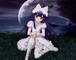 Girl white dress grass fullmoon - a grass field free wallpaper