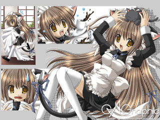 Girl cat maid anime brown - black shoe free wallpaper