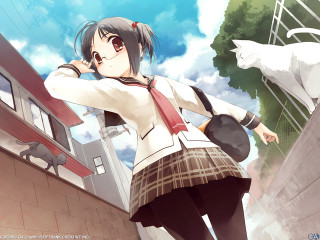 Girl school uniform cat outdoors - a street free wallpaper