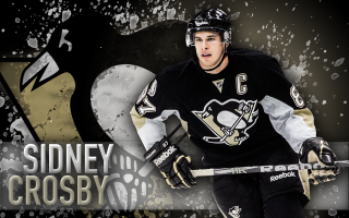 Hockey player posing picture name - a hockey stick free wallpaper