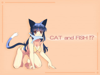 Cat fish furry album cover - lostfish free wallpaper