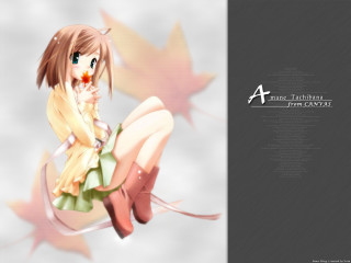 Alice prin anime bird leaf - a leaf free wallpaper