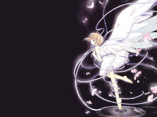 Angel white wings pink flower - a white angel free wallpaper