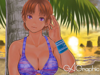 Woman bikini palm beach sunset - the sun free wallpaper