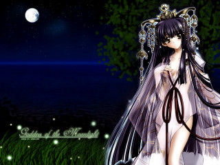 Moon galaxy fireworks veil grass - gothic free wallpaper