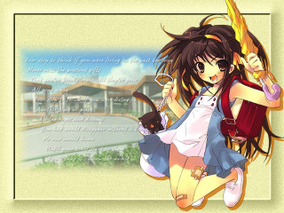 Alice girl backpack cat bandaids - the back of her shirt free wallpaper