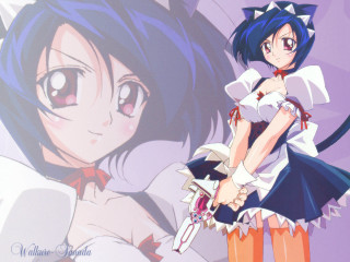 Anime girl cat ears sword - a sword free wallpaper