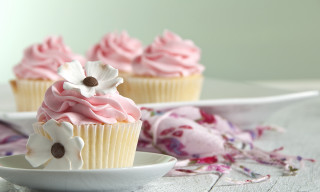 Cupcakes on plate with flower - a pastel free wallpaper