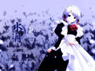 Woman white dress snow field - field free wallpaper for desktop